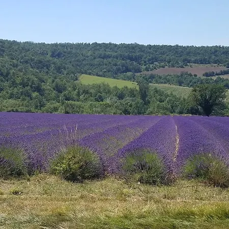 La Fontaine Au Loup